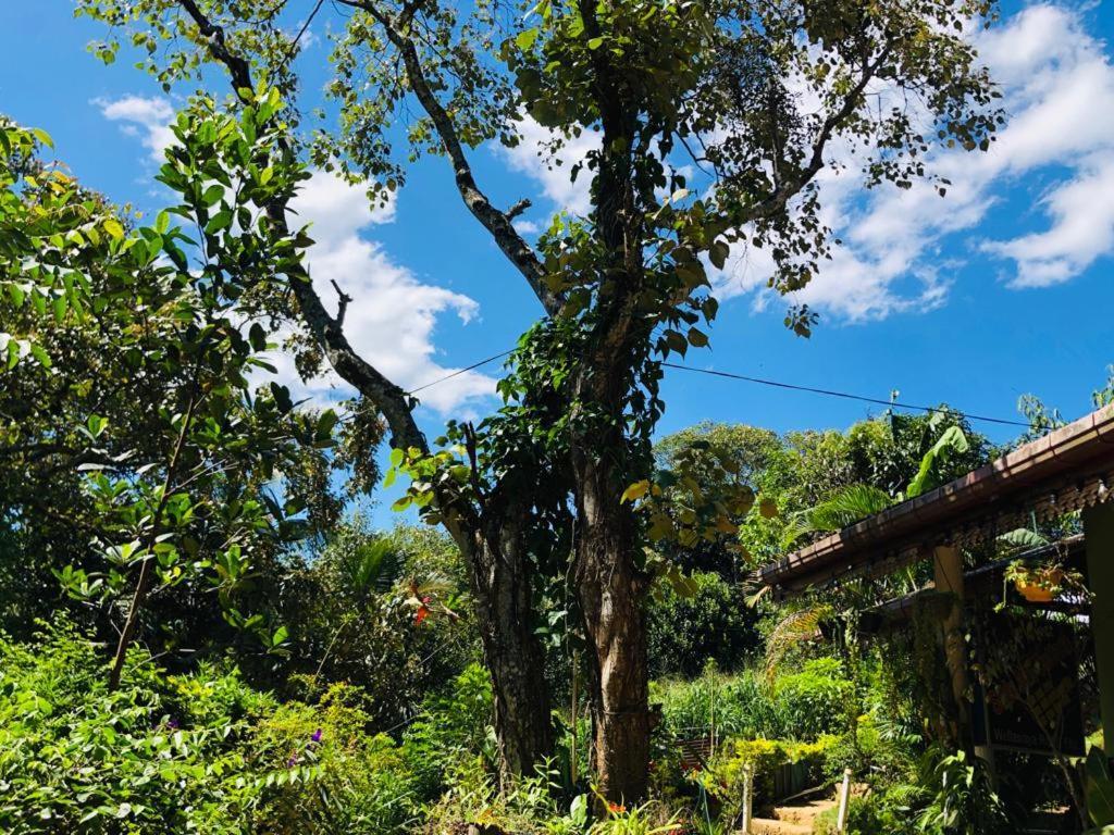 Sudumal Cottage เอลลา ภายนอก รูปภาพ