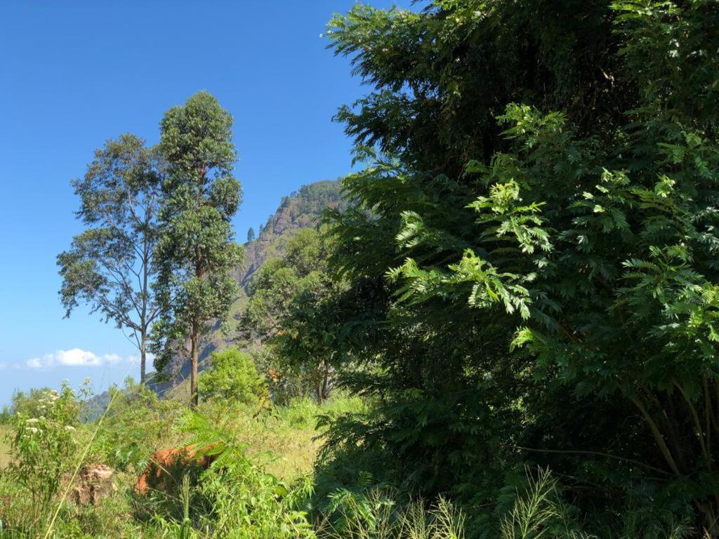 Sudumal Cottage เอลลา ภายนอก รูปภาพ