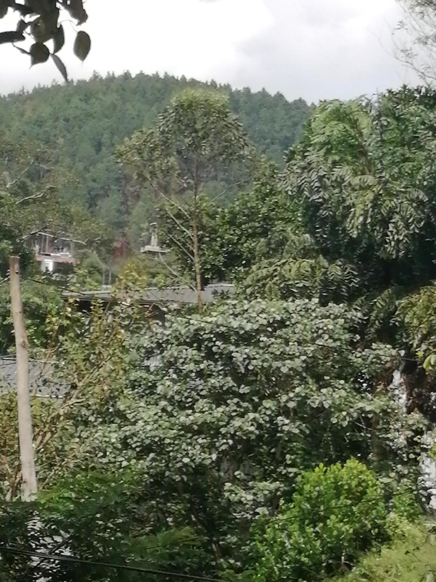 Sudumal Cottage เอลลา ห้อง รูปภาพ
