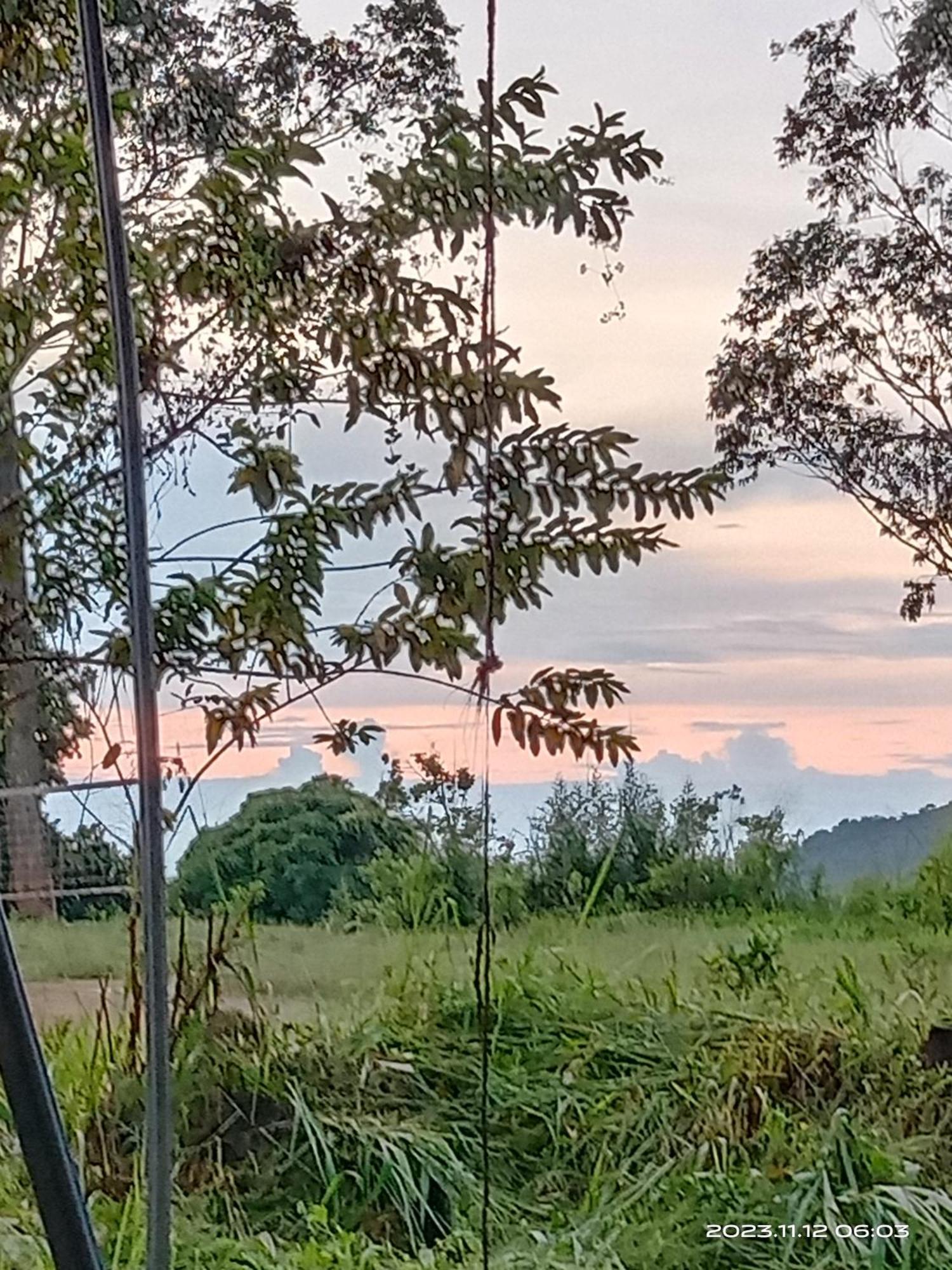 Sudumal Cottage เอลลา ภายนอก รูปภาพ