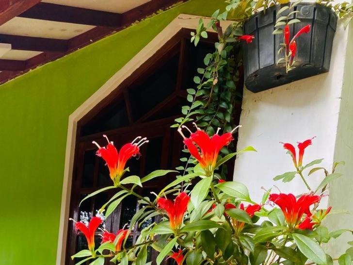 Sudumal Cottage เอลลา ภายนอก รูปภาพ