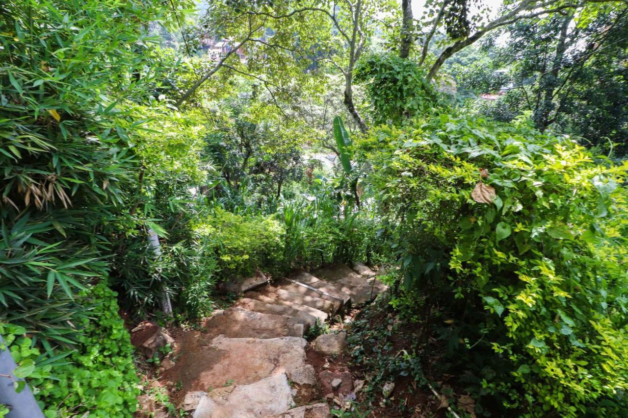 Sudumal Cottage เอลลา ภายนอก รูปภาพ